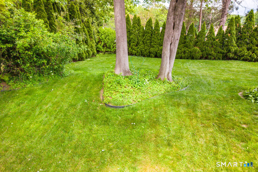 66 Carol Drive Plainville CT 06062