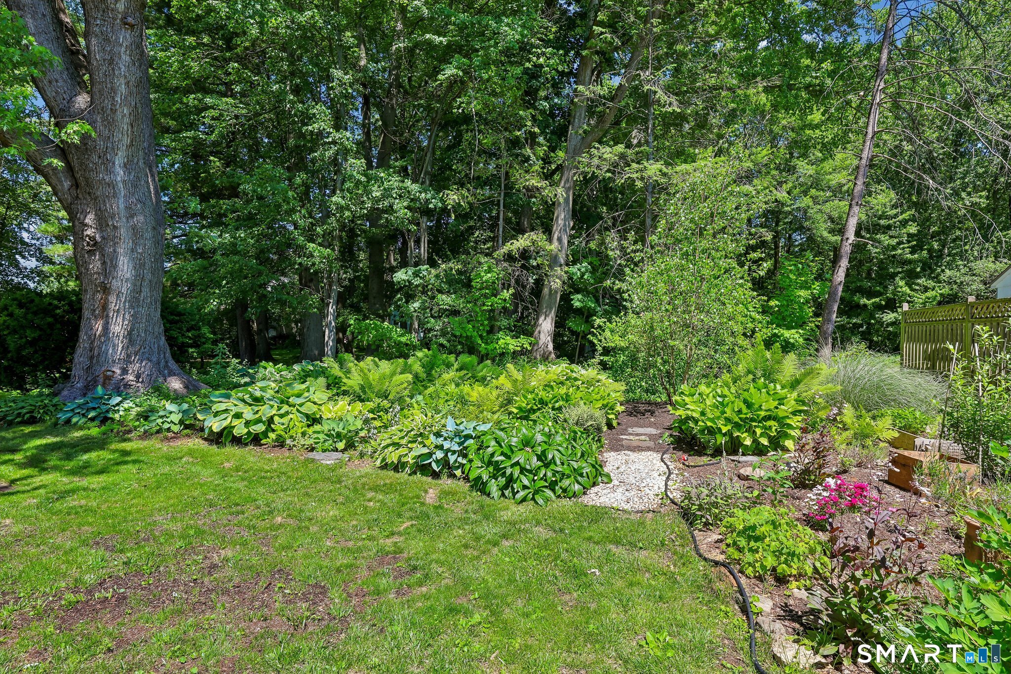 14 Dorset Road West Hartford CT 06119