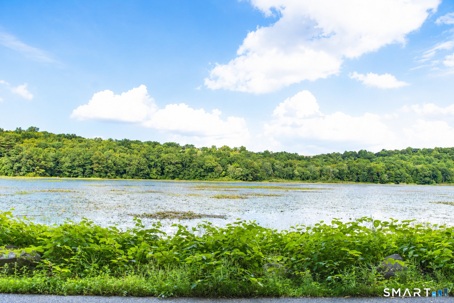46 Washington Drive Middlebury CT 06762