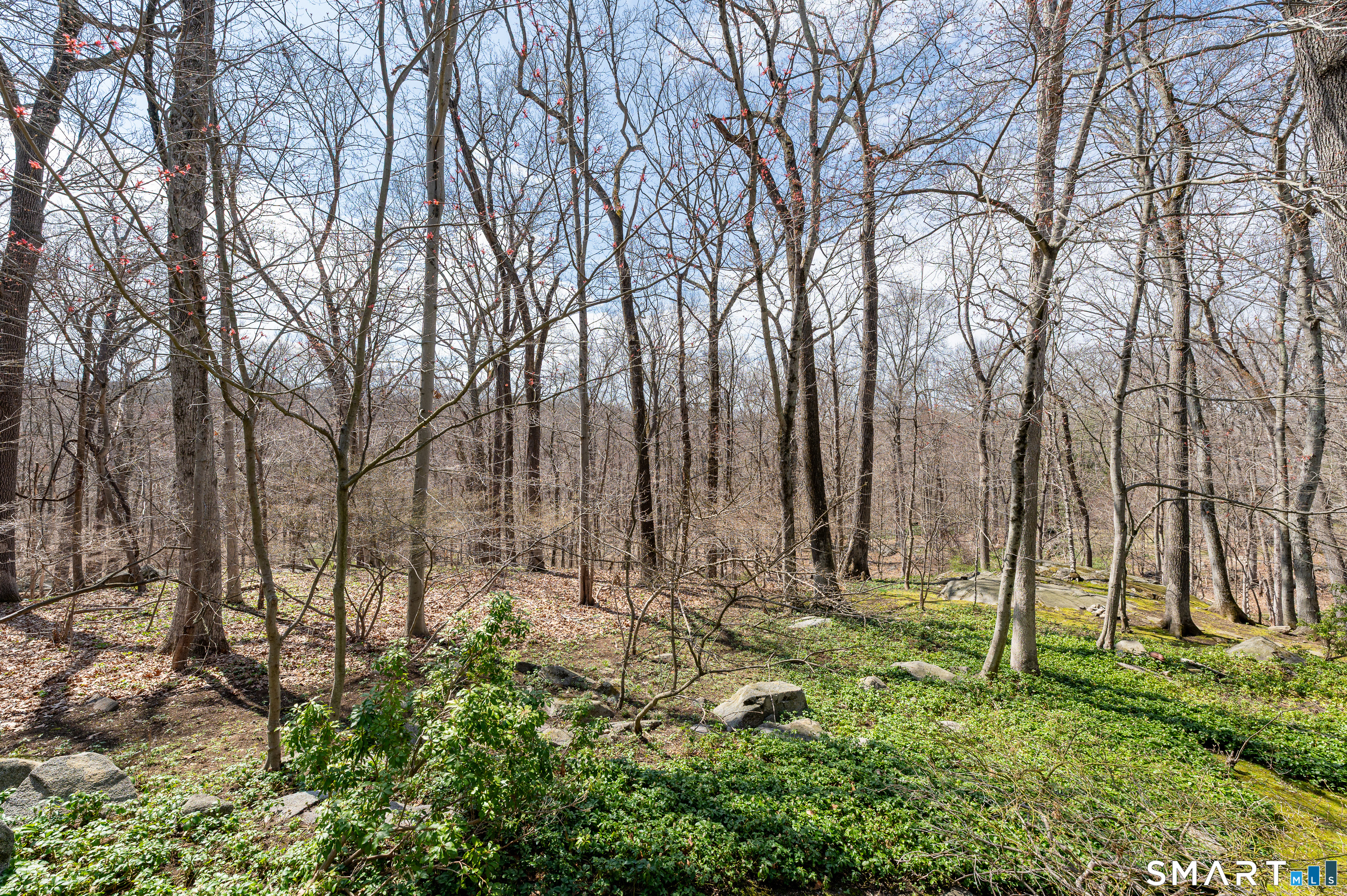 171 Highline Trail Stamford CT 06902