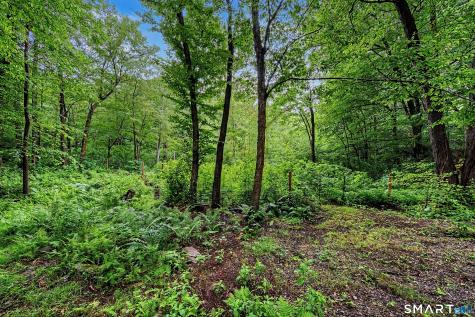 216 Reservoir Road Killingworth CT 06419