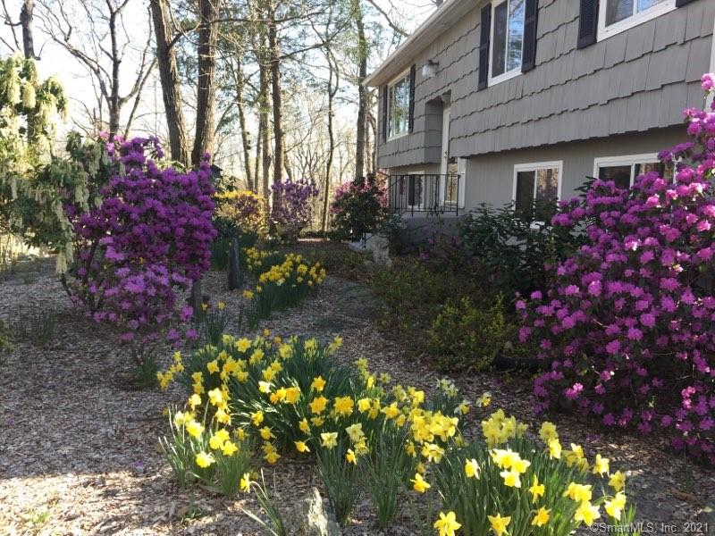 45 Guinea Road Monroe CT 06468