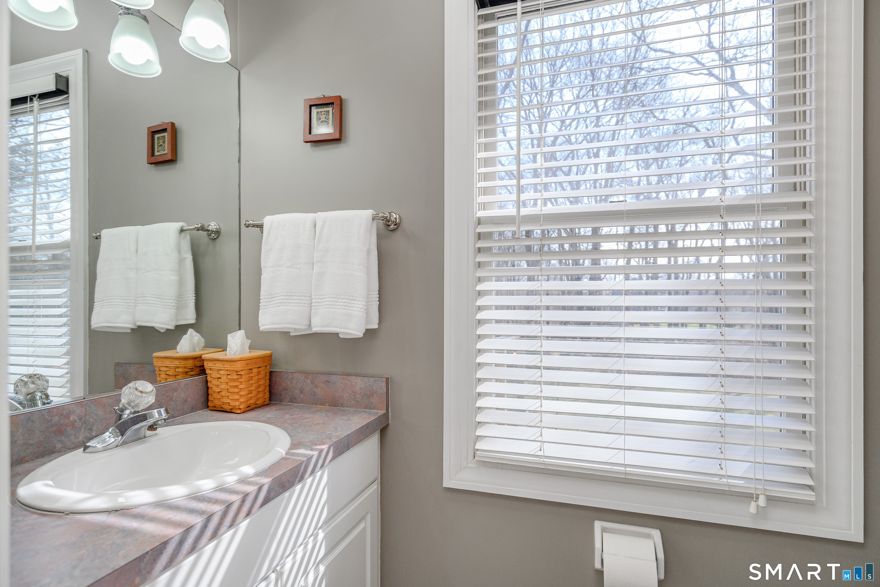 20 Charter Ridge Drive Newtown CT 06482