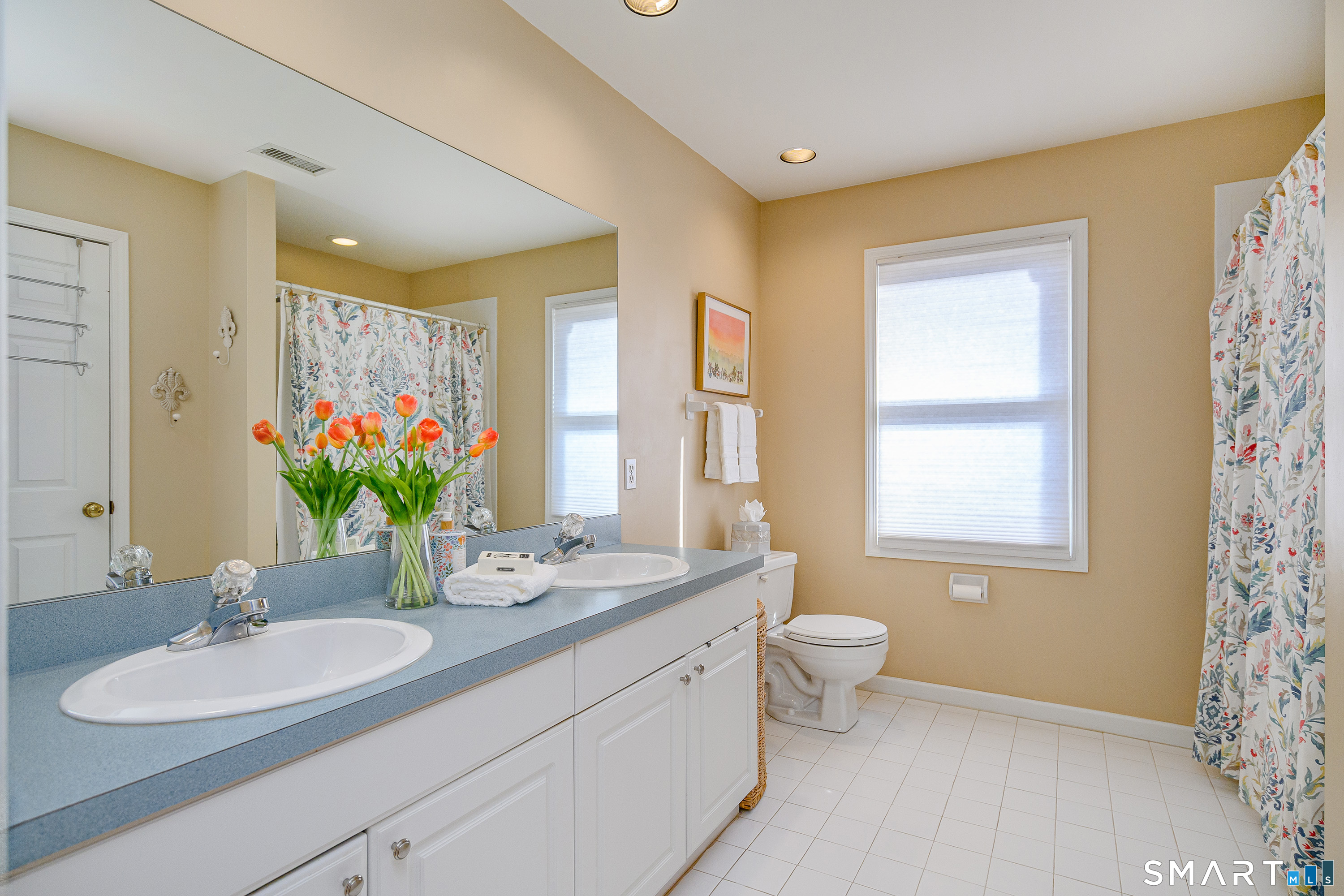 20 Charter Ridge Drive Newtown CT 06482