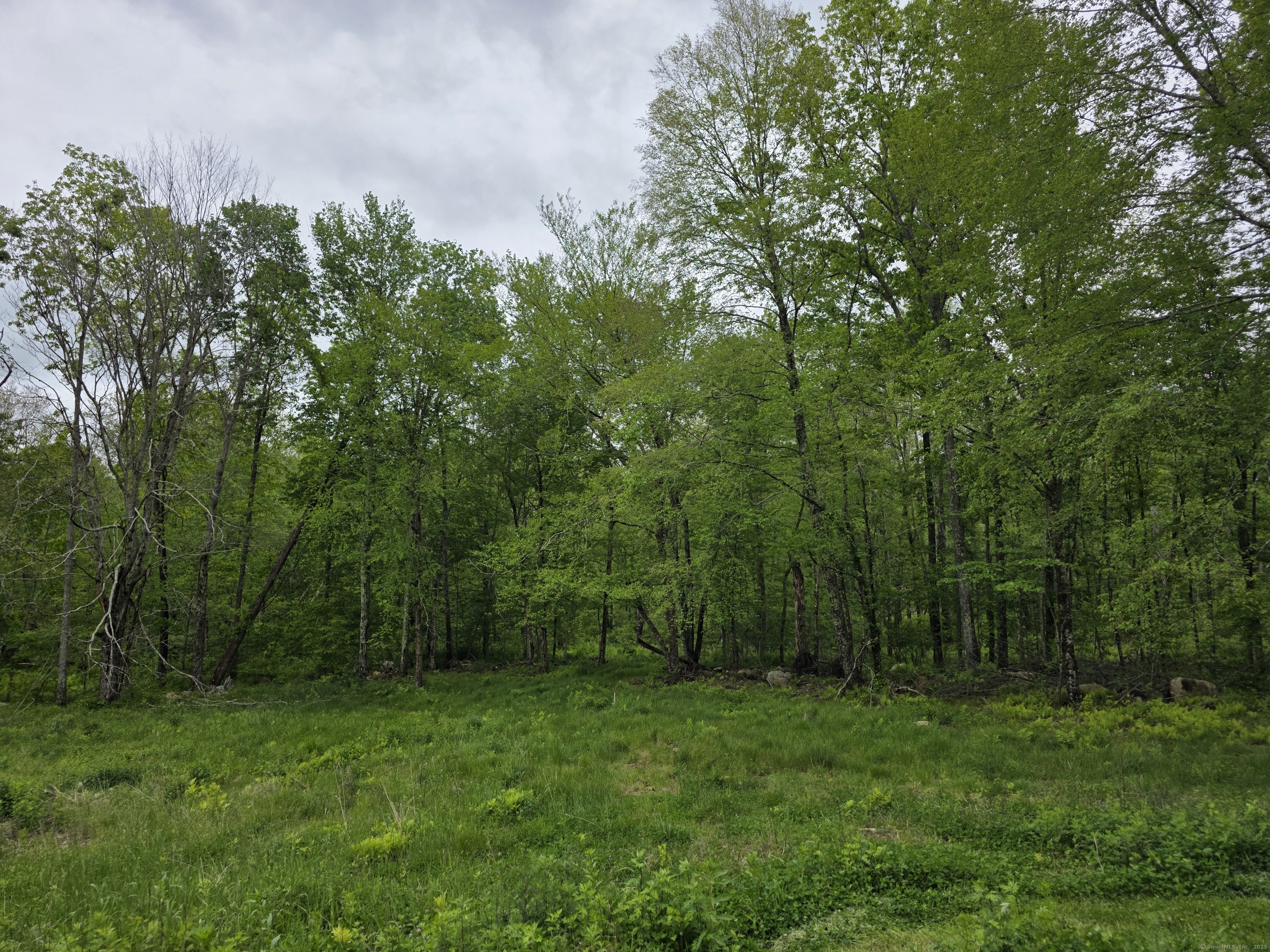 80 John Mack Road Hampton CT 06247