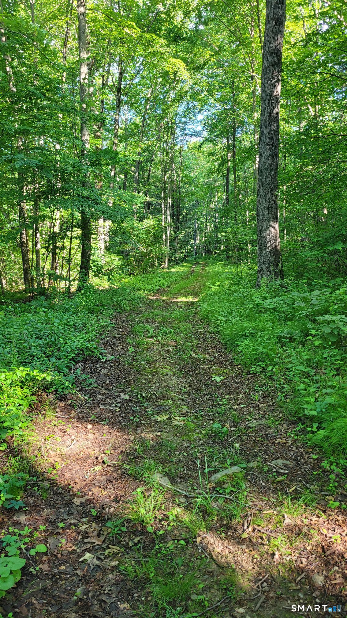 102 Pumpkin Hill Road Ashford CT 06278