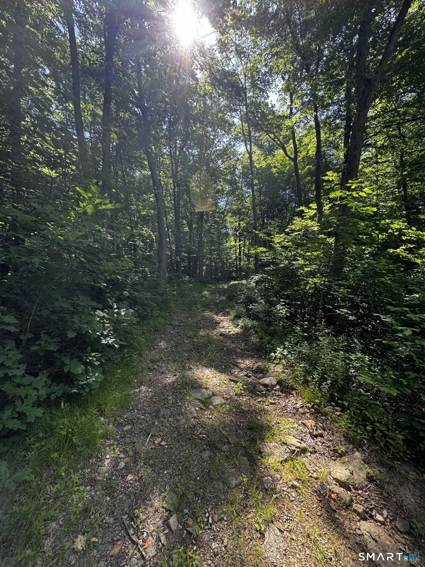 102 Pumpkin Hill Road Ashford CT 06278