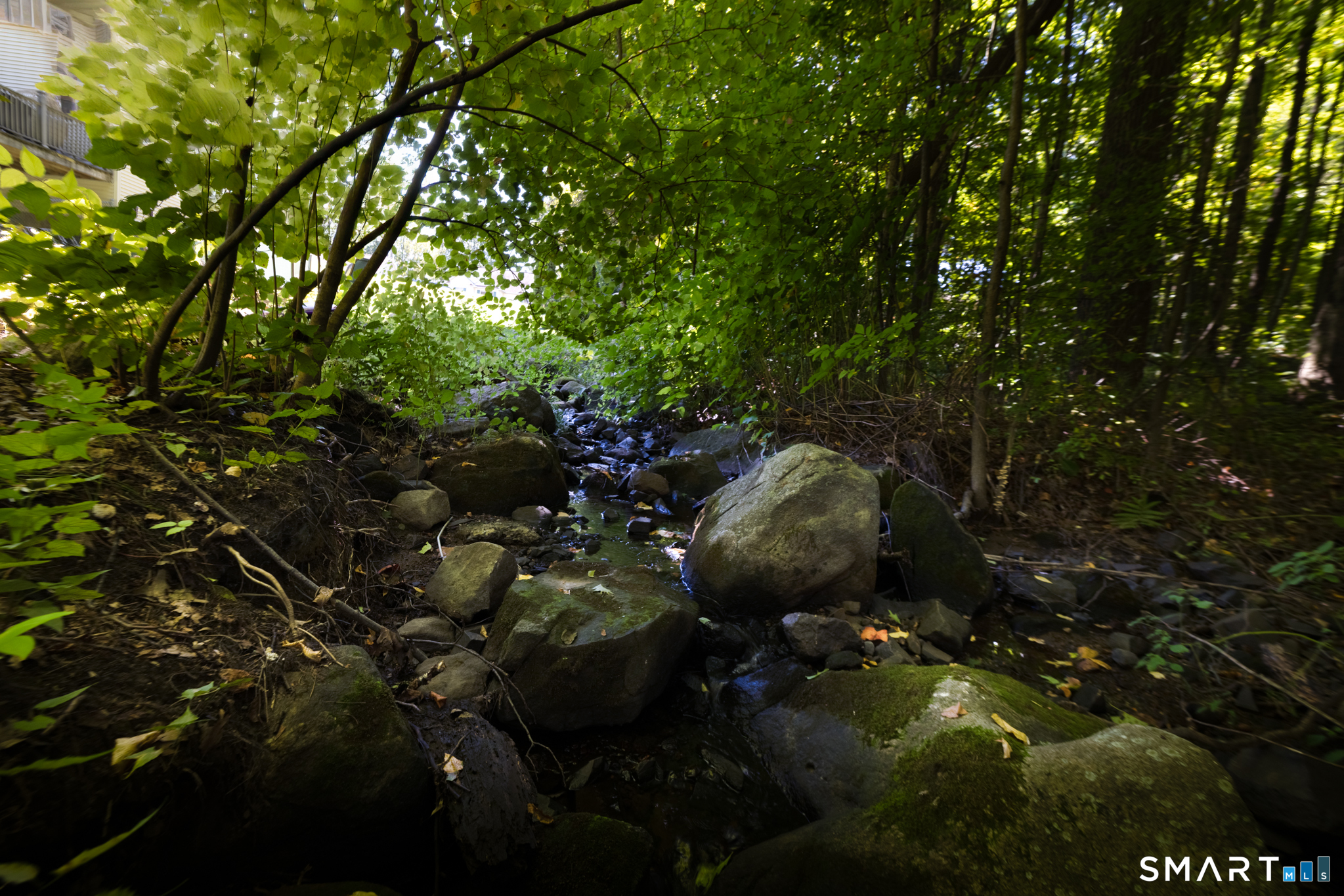 54 Miller Road Bristol CT 06010