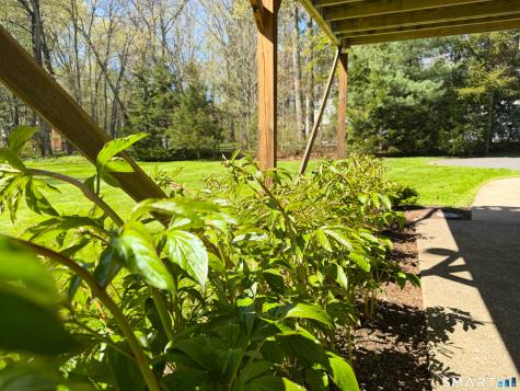 279 Cheesespring Road Wilton CT 06897