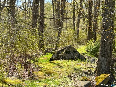 279 Cheesespring Road Wilton CT 06897