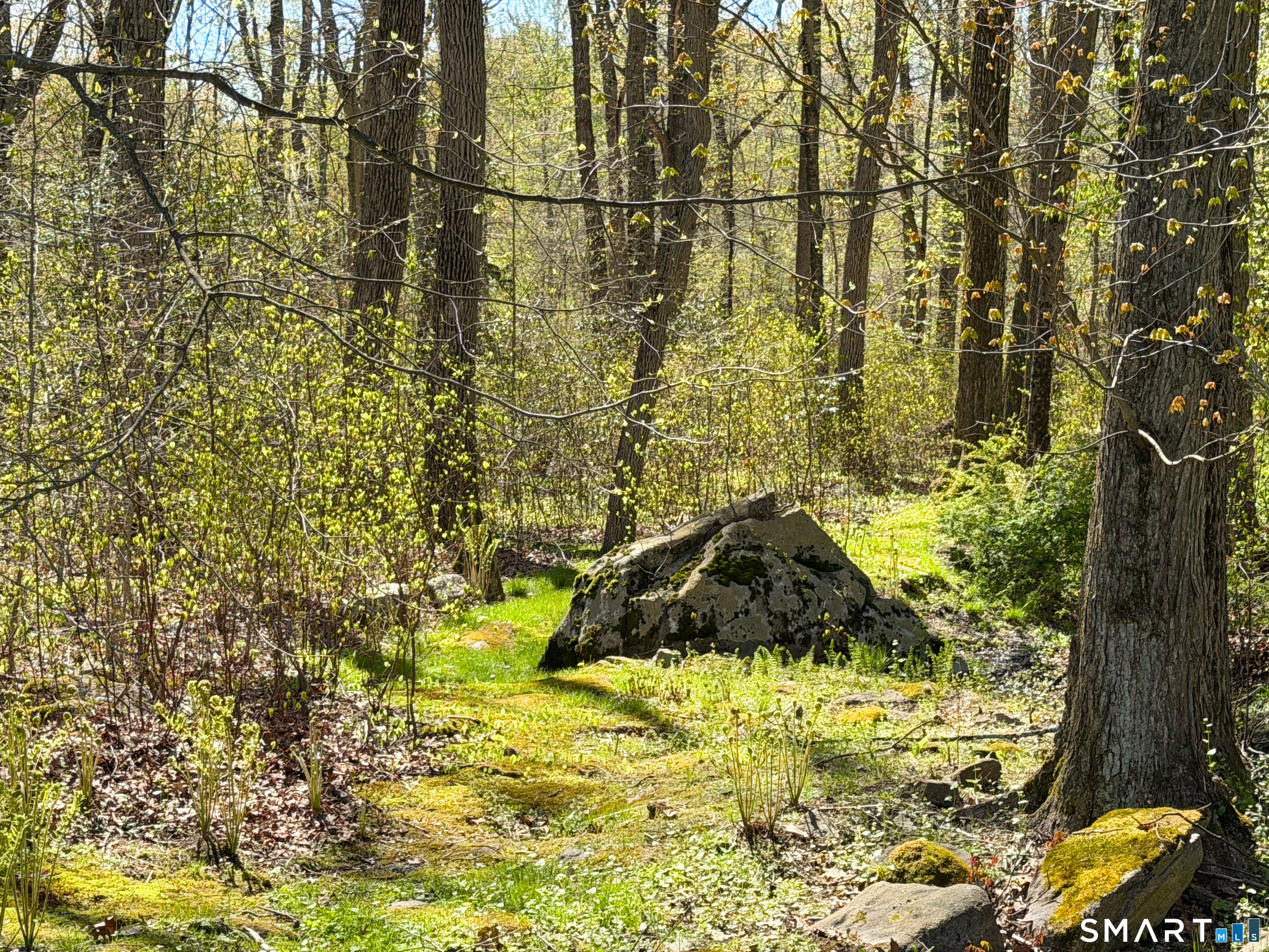 279 Cheesespring Road Wilton CT 06897