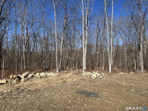 12 Chestnut Lane Washington CT 06777