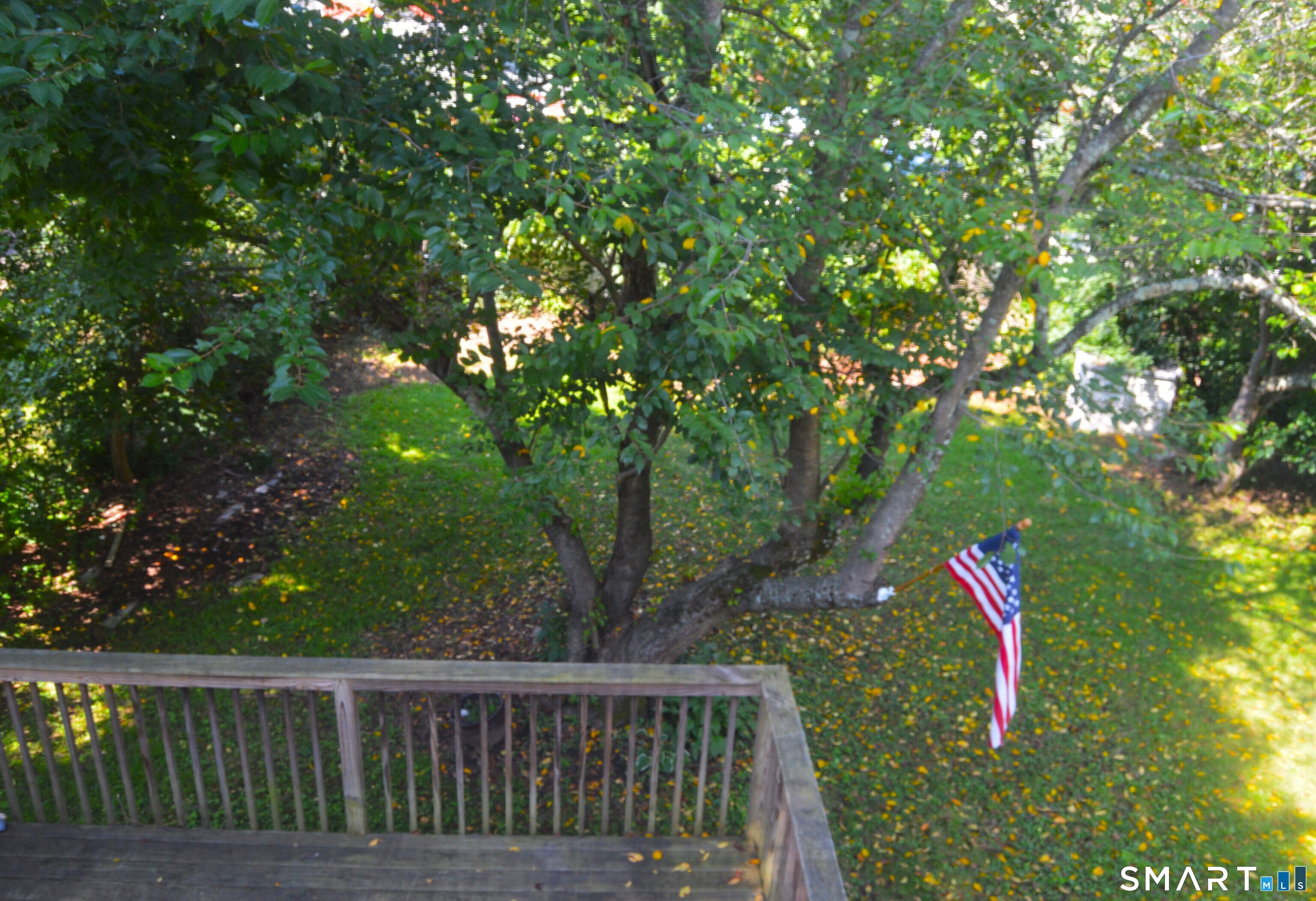 7 Roseleah Avenue Plainville CT 06062