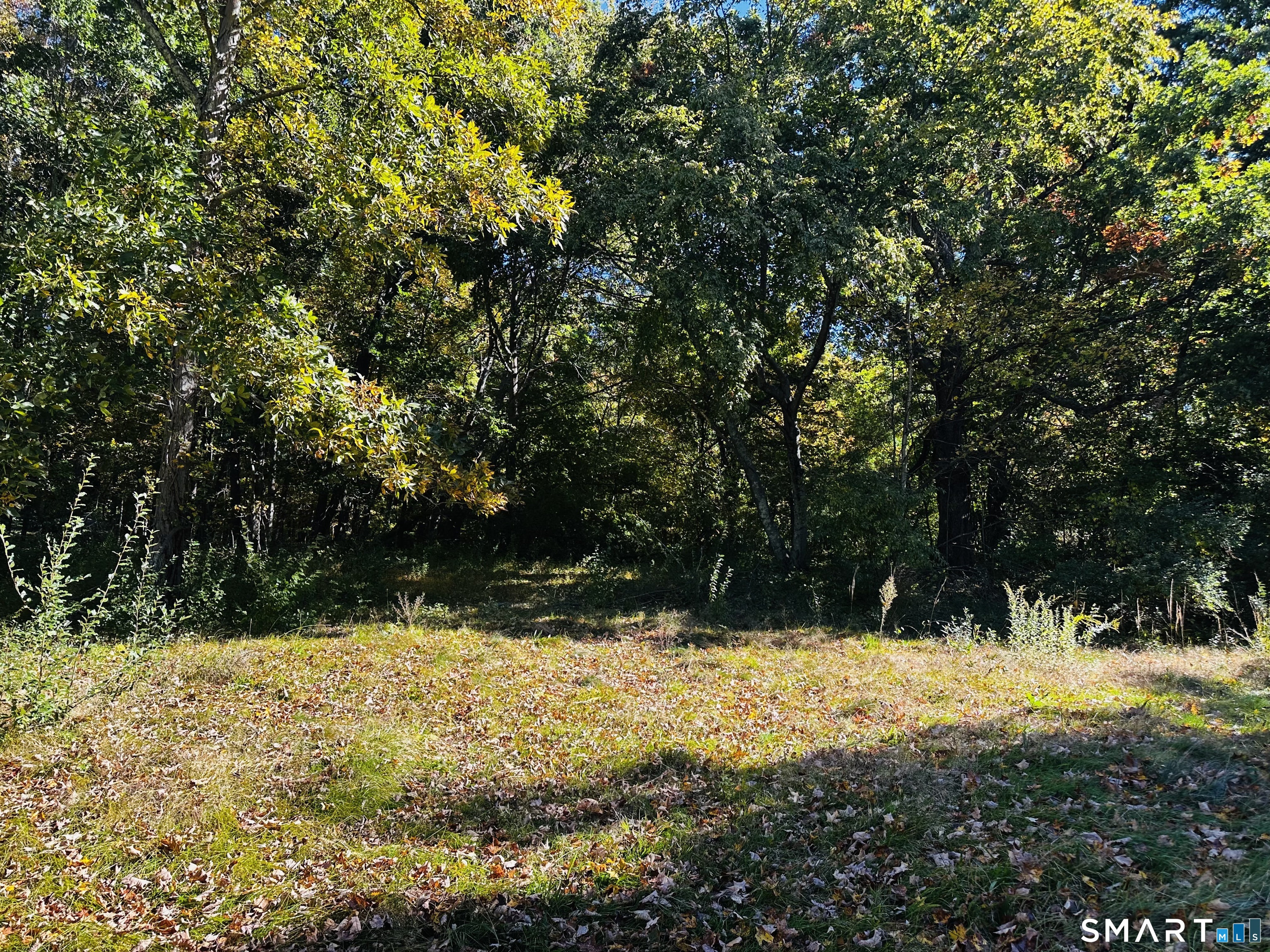 175 Seymour Road Woodbridge CT 06525