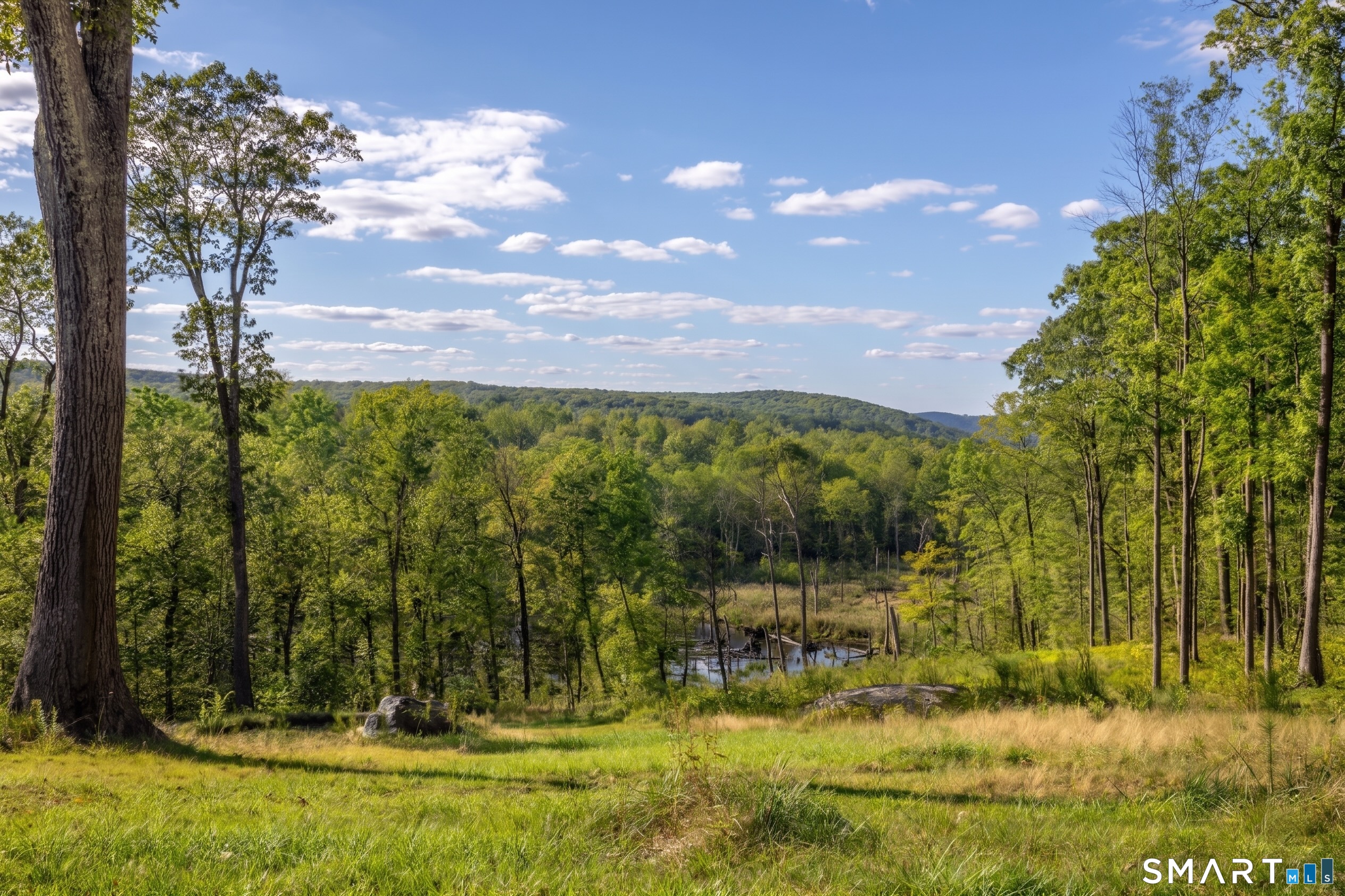 8 Bobcat Lane Warren CT 06754