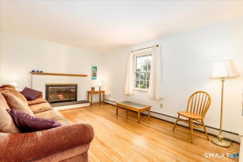 21 White Pine Drive Brookfield CT 06804