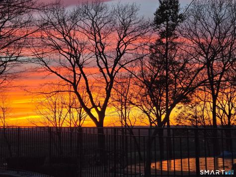 61 Ely Road Farmington CT 06032