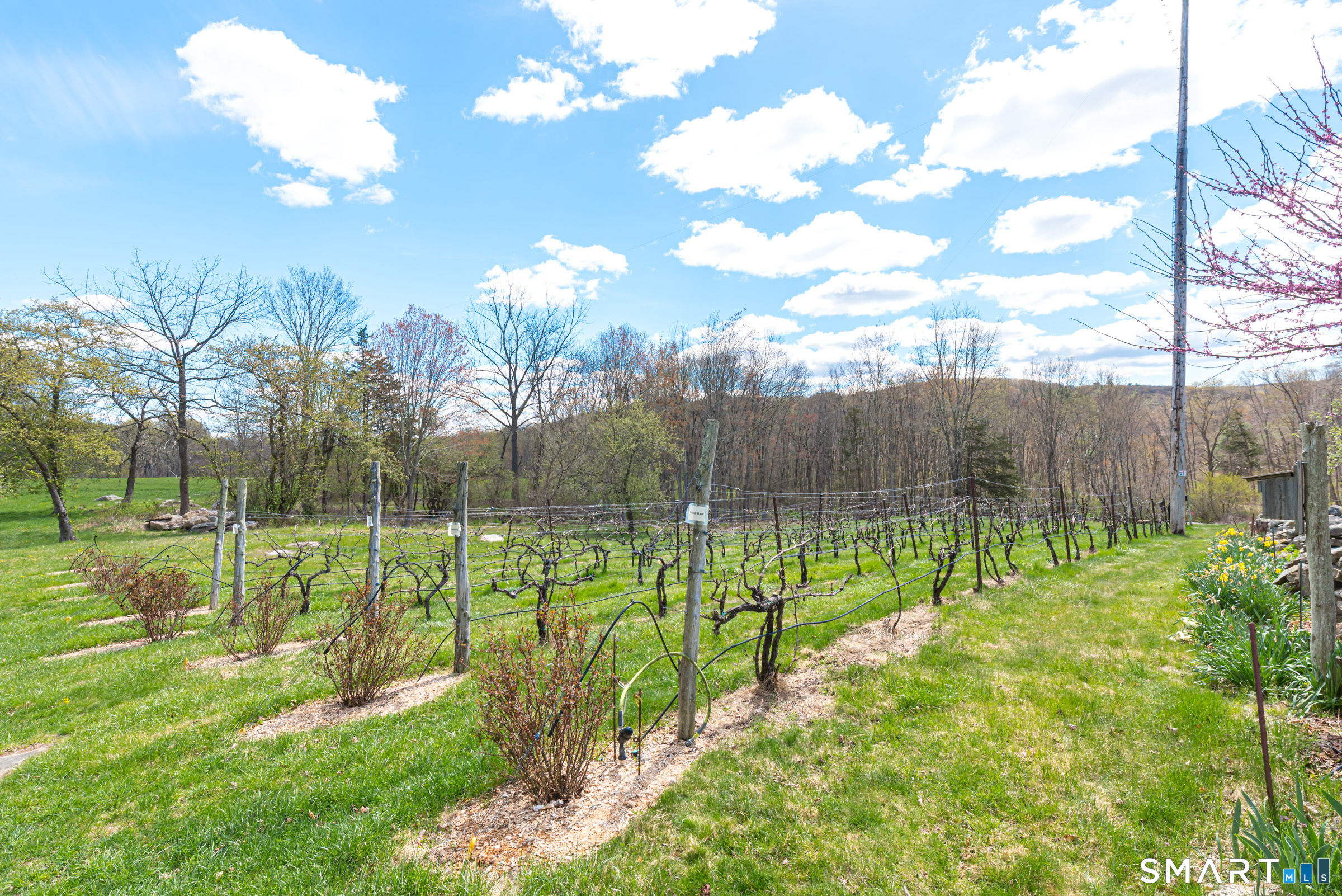 29 Spencer Road Haddam CT 06441