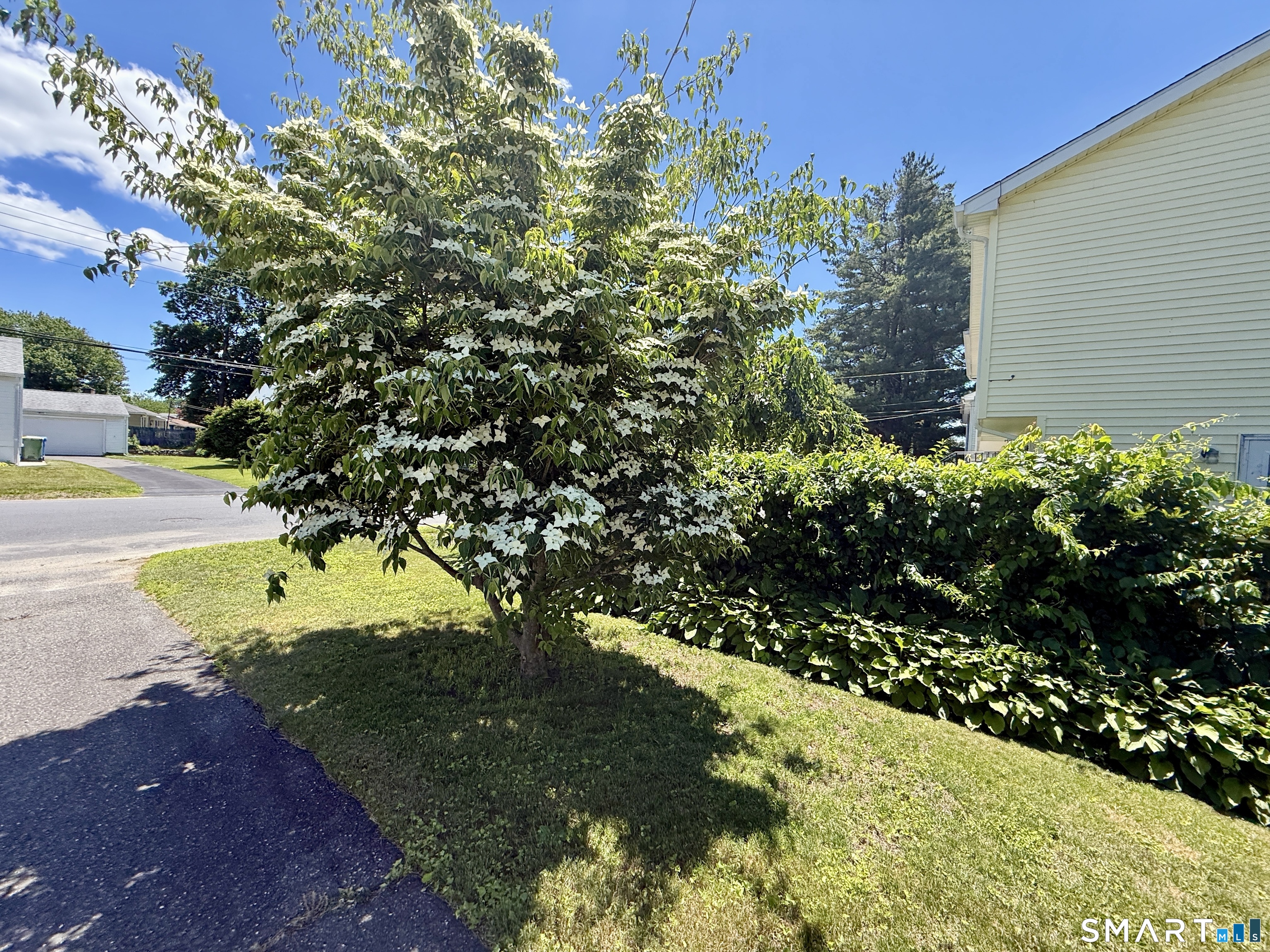 100 Decicco Road Waterbury CT 06705