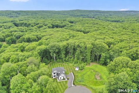 56 Stone House Lane Burlington CT 06013