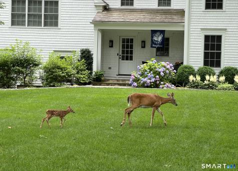 15 Marianne Road Darien CT 06820