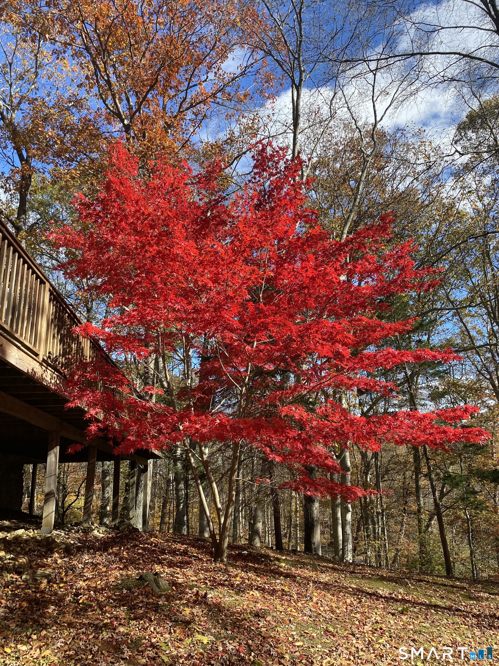 134 Delaware Road Easton CT 06612