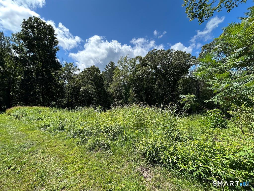 36 Olde Meadow Road Woodstock CT 06281