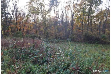 36 Olde Meadow Road Woodstock CT 06281