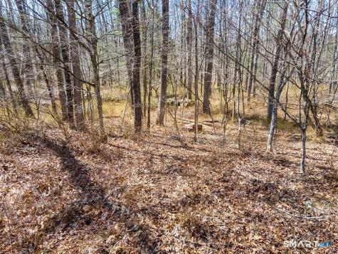 36 Olde Meadow Road Woodstock CT 06281
