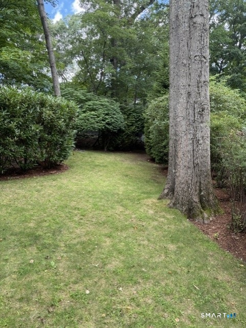 6 Vanderbilt Avenue Norwalk CT 06854