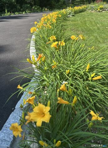 36 Creeping Hemlock Drive Norwalk CT 06851