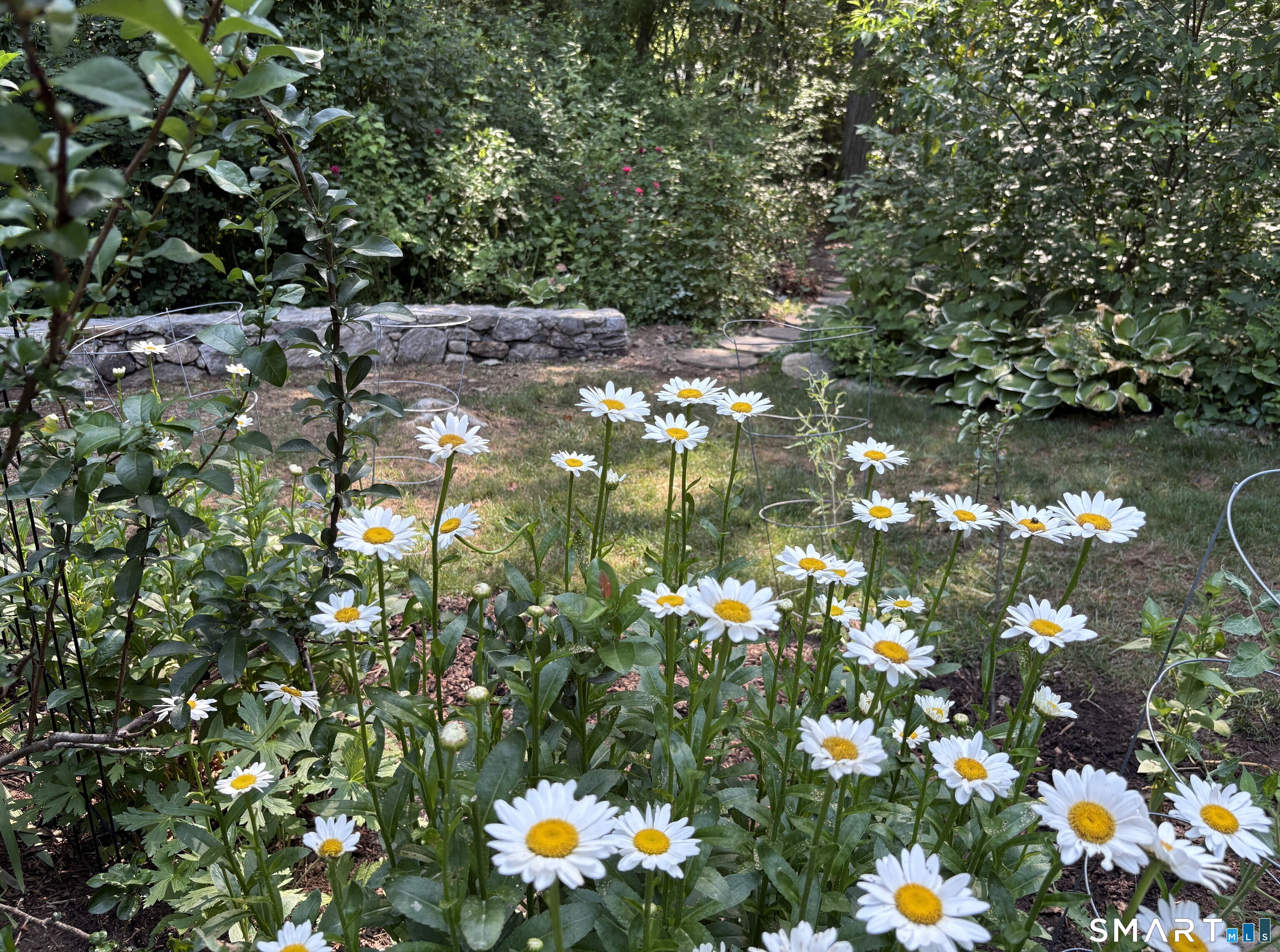 36 Creeping Hemlock Drive Norwalk CT 06851
