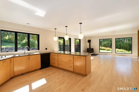 55 Mount Tom Passway Morris CT 06763