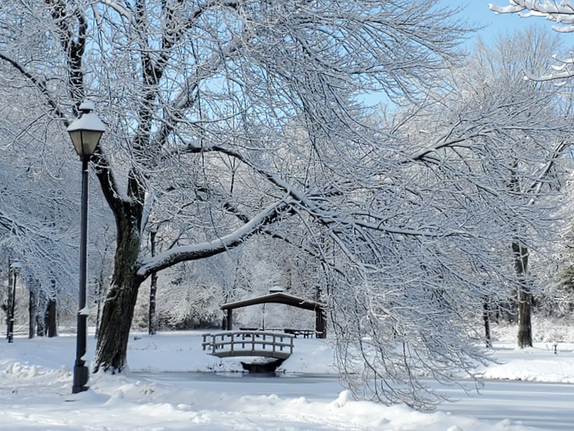 31 Parkwood Drive Windsor CT 06095