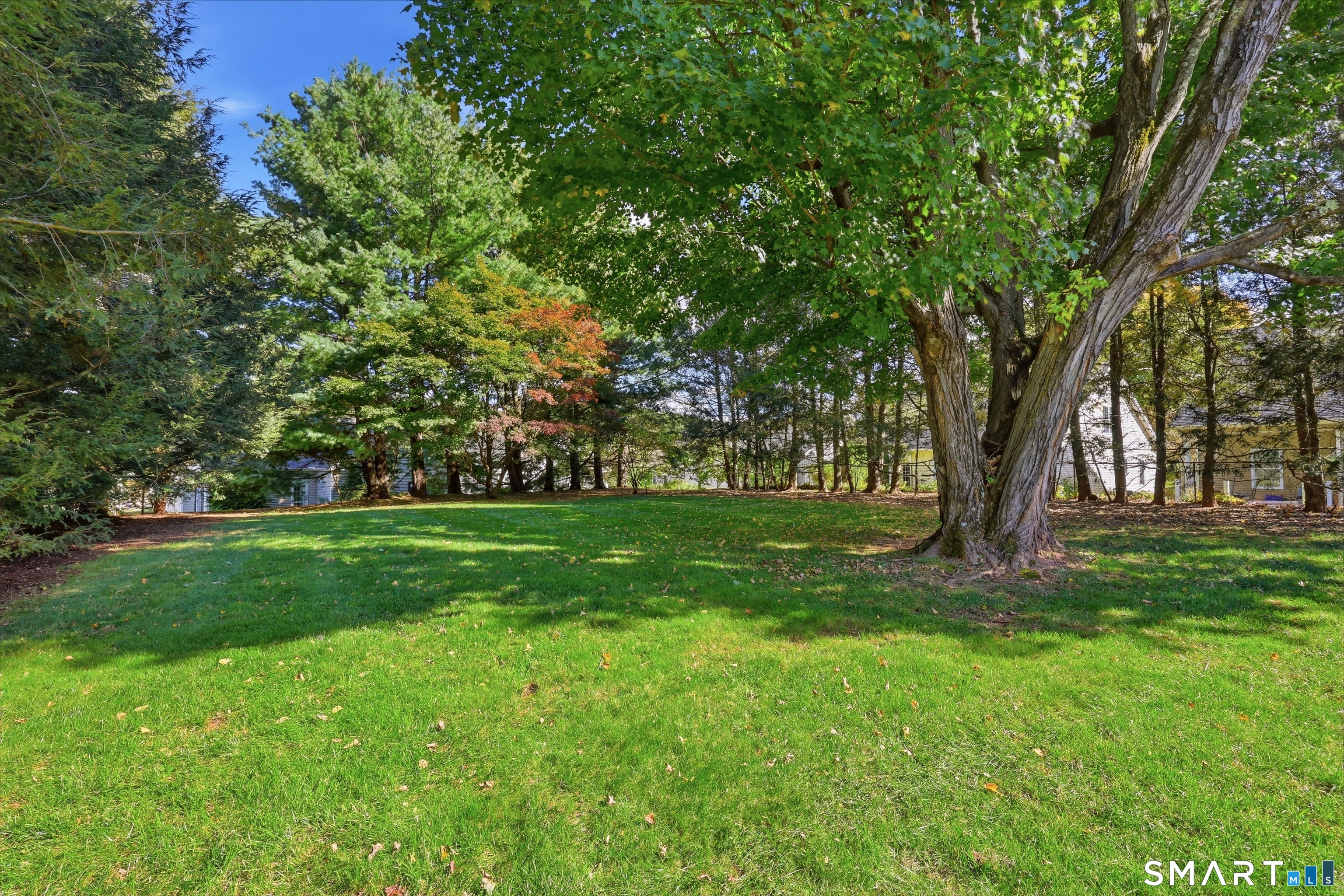 71 Dividend Road Rocky Hill CT 06067