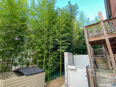 16 Lynwood Place New Haven CT 06511