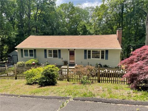 17 Patricia Lane Newtown CT 06470