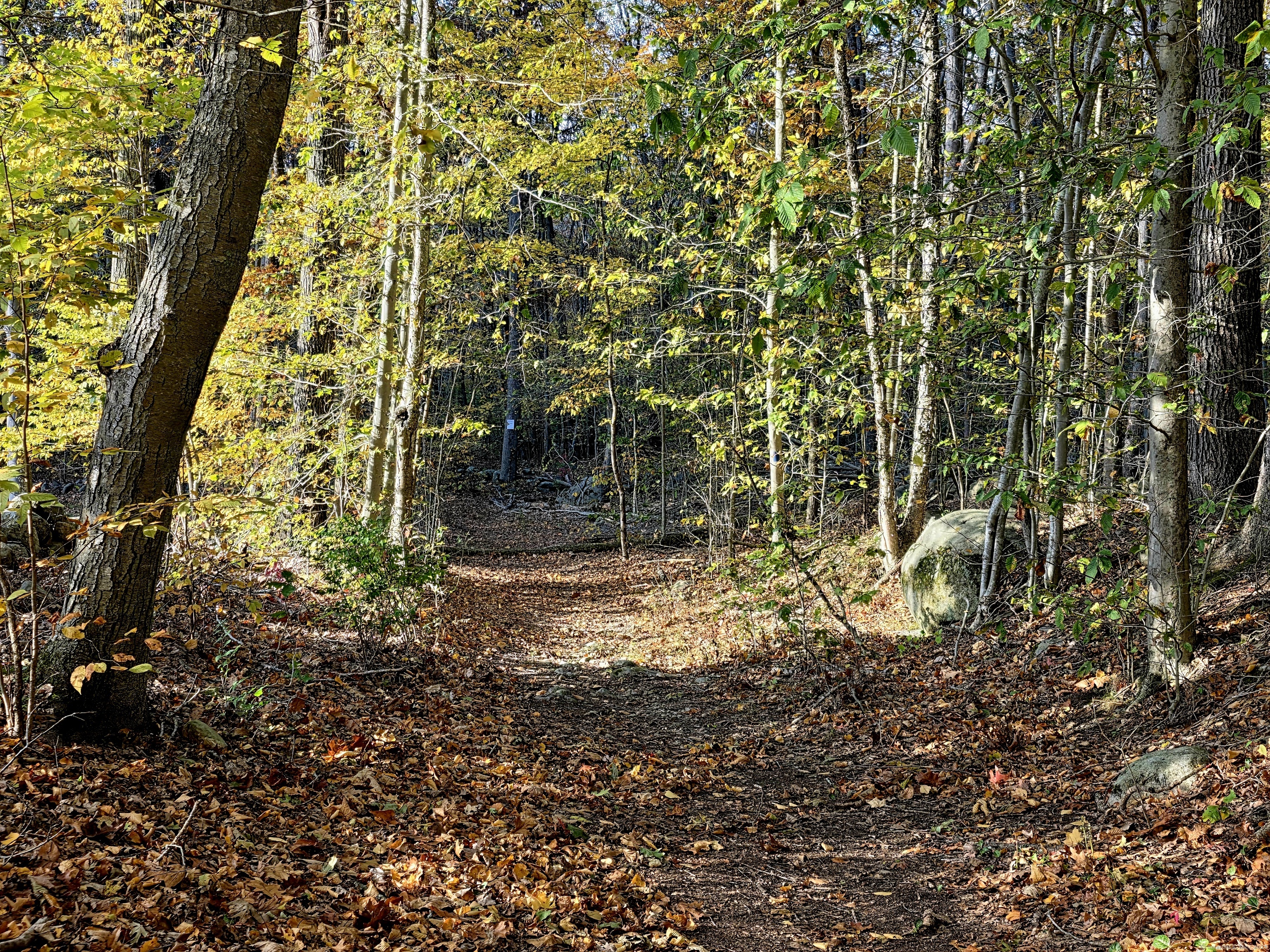 5 Kings Grant Road Clinton CT 06413