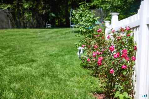44 Catbrier Road Weston CT 06883