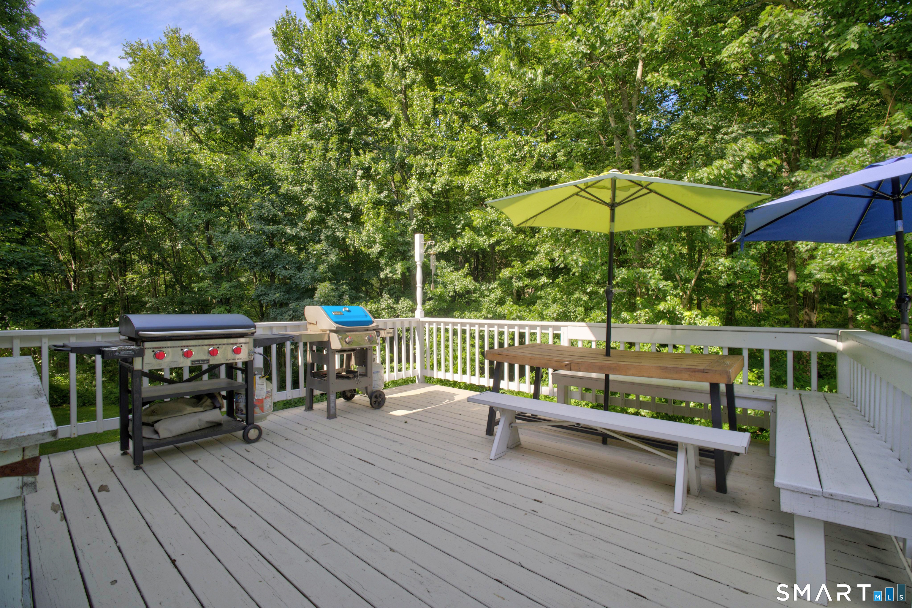 8 Bristle Lane Newtown CT 06482