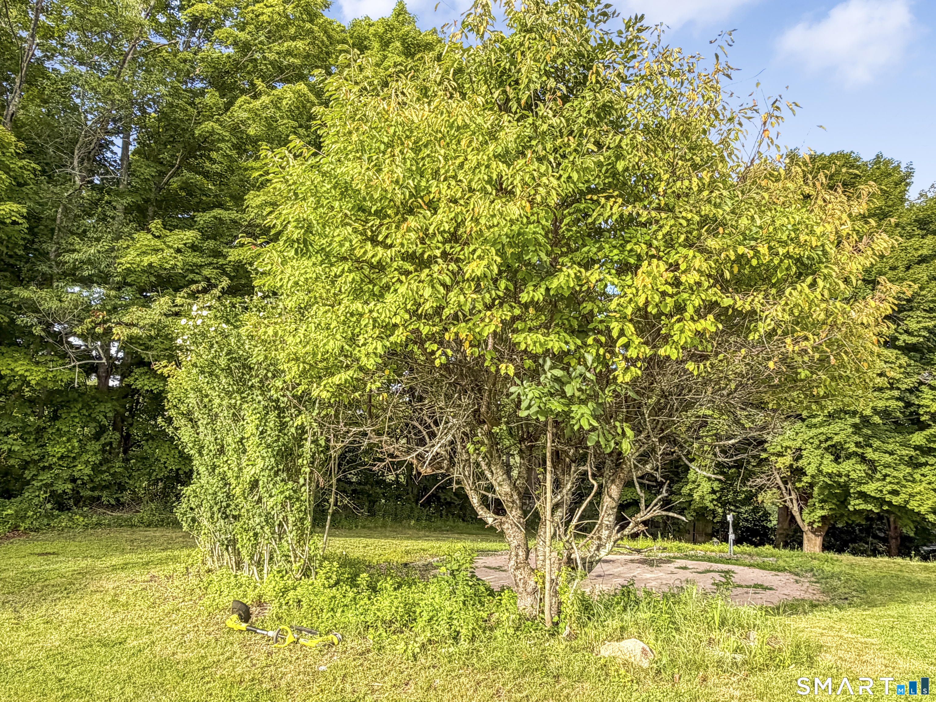 Ashford CT 06278