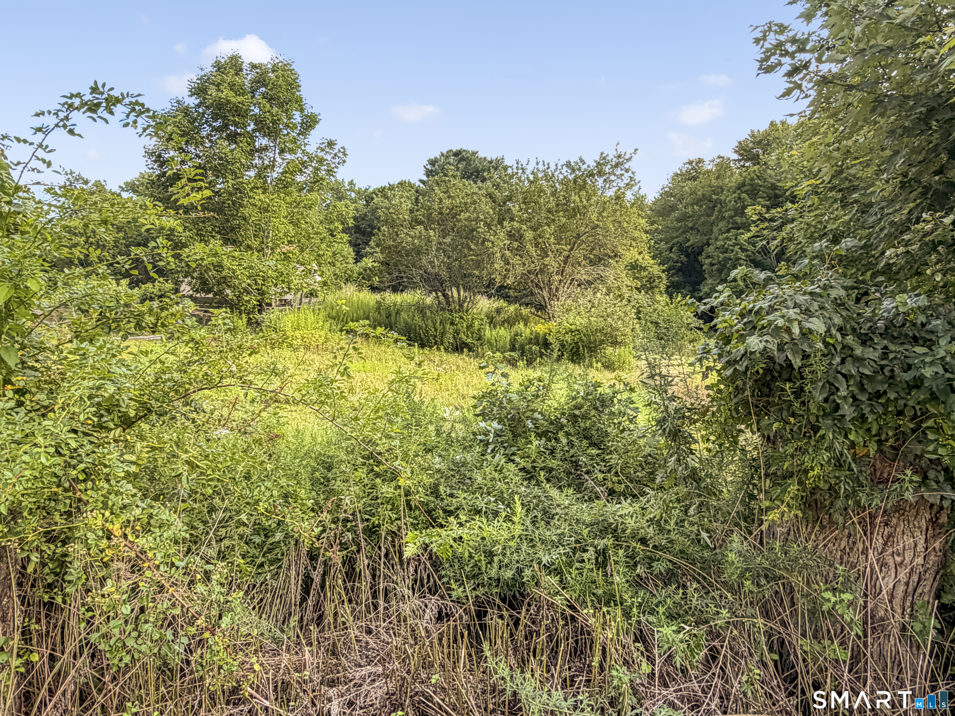 Ashford CT 06278