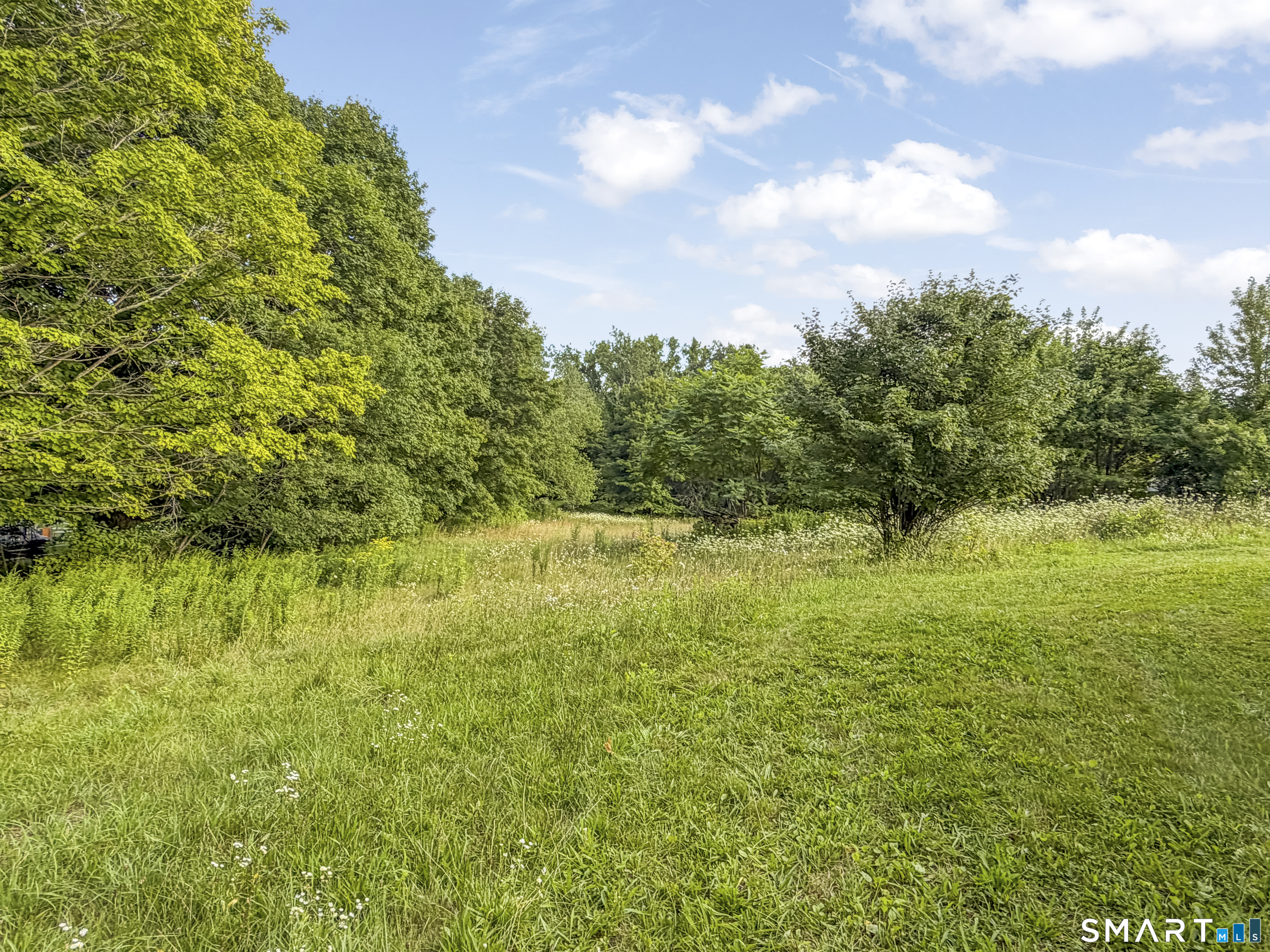 Ashford CT 06278