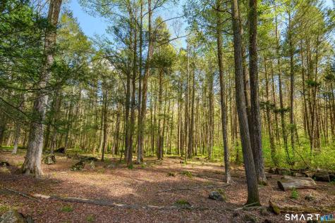 202 Grasslands Road Southbury CT 06488