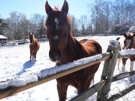 69 North Bedlam Road Chaplin CT 06235