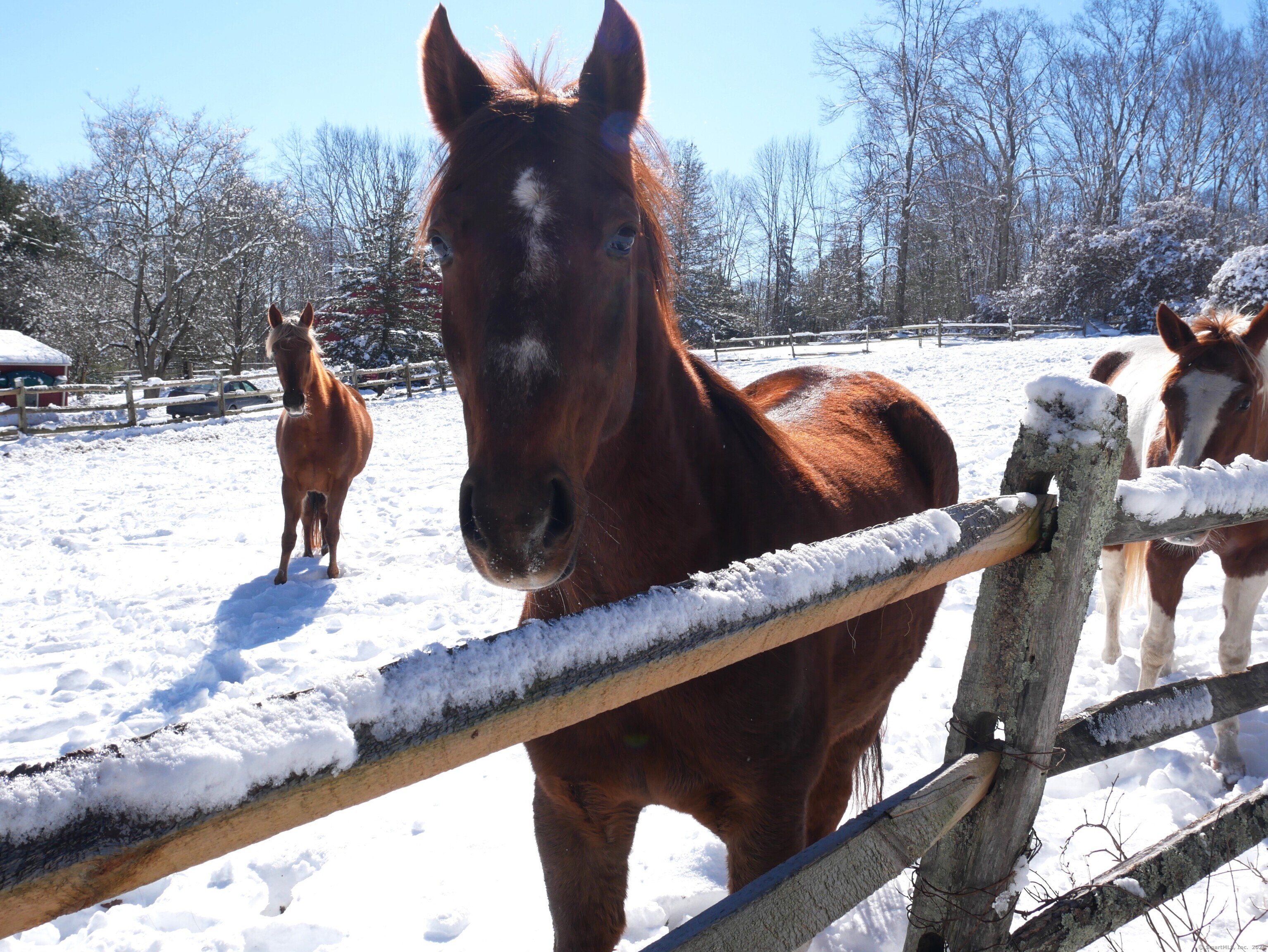 69 North Bedlam Road Chaplin CT 06235