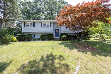 15 Black Birch Road Plainville CT 06062