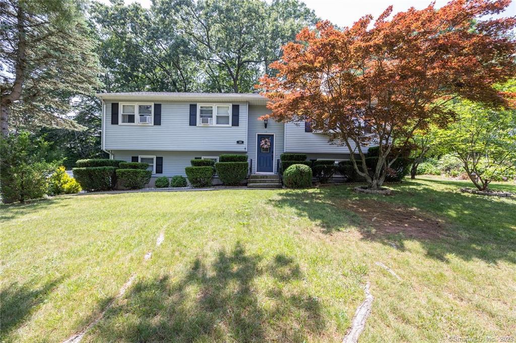 15 Black Birch Road Plainville CT 06062