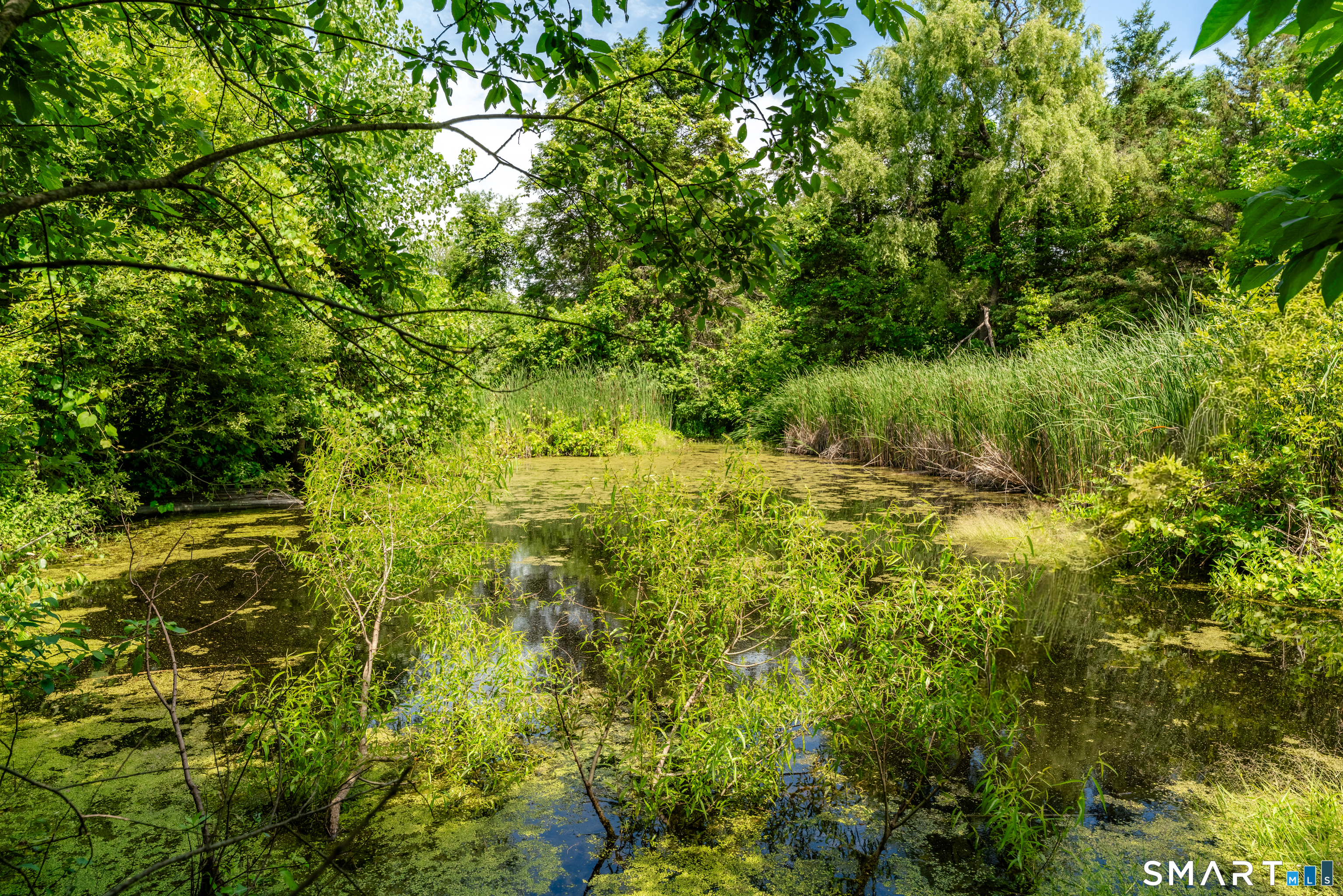 199 Wylie School Road Voluntown CT 06384