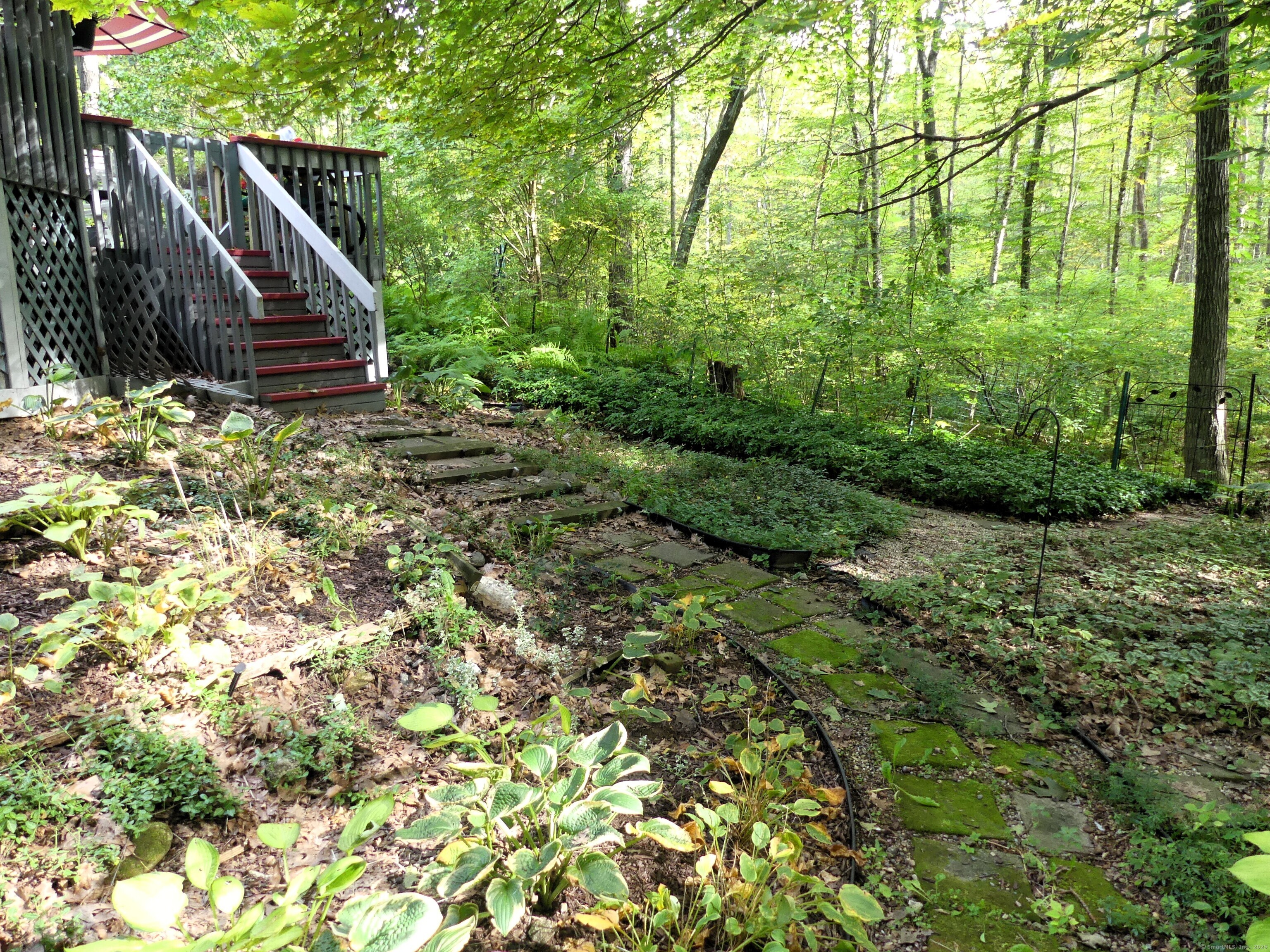 4 Timber Trail Columbia CT 06237